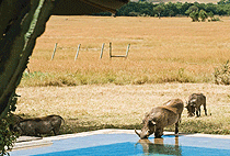 AndBeyond Kichwa Tembo Tented Camp Masai Mara