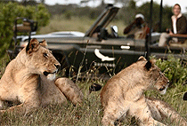 AndBeyond Bateleur Camp Masai Mara