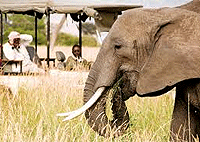 Olonana Tented Camp Masai Mara 3 Days 2 Nights Safari Game Package - Masai Mara