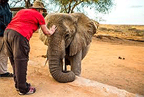 Umani Springs Lodge Kibwezi Forest Reserve