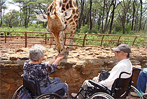 Disabled Wheelchair Accessible Safari Holidays East Africa