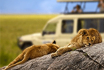 Disabled Wheelchair Accessible Safari Holidays East Africa