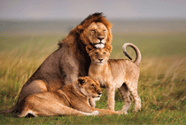 2 days tsavo west safari