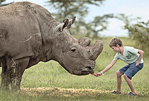 5 Days Ol Pejeta Lake Naivasha Masai Mara Lodge Safari