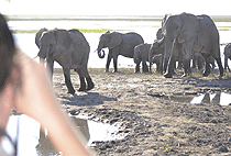 7 Days 6 Nights Kenya Safari Samburu Lake Nakuru Masai Mara