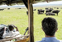 7 Days 6 Nights Kenya Safari Masai Mara Naivasha Amboseli