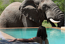 7 Days 6 Nights Kenya Safari Samburu Aberdare Nakuru Mara