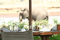 7 Days 6 Nights Kenya Safari Samburu Aberdare Nakuru Mara