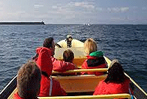 6 Days Budget Camping Safari Nakuru Mt Elgon Lake Victoria