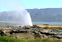 Lake Bogoria Lake Baringo 3 Days 2 Nights Road Safari