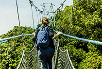 3 Days 2 Nights Nyungwe National Park Rwanda Safari