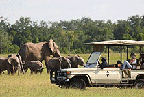 8 days 7 Nights Kenya Uganda Luxury Flying Safari