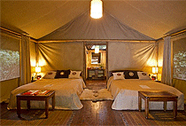 8 days 7 Nights Kenya Uganda Luxury Flying Safari