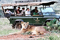 3 Days 2 Nights Loisaba Tented Camp Flying Safari Package