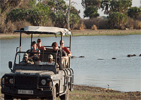 Zanzibar Selous Game Reserve 1 Day Flying Safari Package