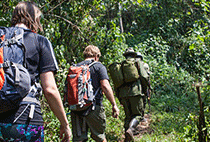 2 Day Rwanda Hiking Tour Mt Karisimbi Volcanoes National Park