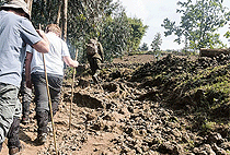 Dian Fossey Hike Volcanoes National Park 1 Day Tour
