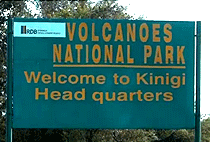 Golden Monkey Tracking Volcanoes National Park 1 Day Trip Safari