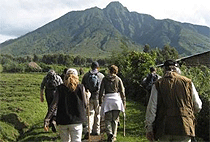 Mount Bisoke Hiking Volcanoes National Park Rwanda 1 Day Tour