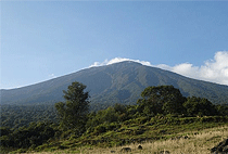 Kigali Golden Monkey Trekking Mgahinga Gorilla Park 1 Day Tour