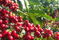 2 Days 1 Night Kigali Lake Kivu Rwanda Holidaybreak