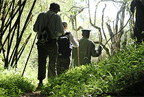 Kigali Golden Monkey Trekking Mgahinga Gorilla Park 1 Day Tour