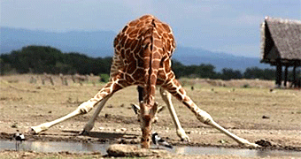 2 days sweetwaters safari