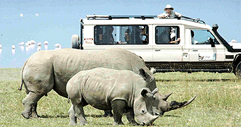2 days nakuru safari