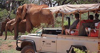 2 Days/ 1 Night Samburu Safari