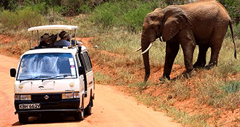2 days tsavo west safari
