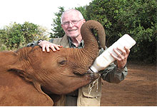 Elephant