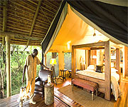 Bateleur Camp in Kichwa Tembo Masai Mara, Kenya