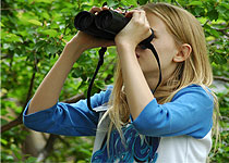 Bird walks at the Sweetwaters Tented Camp - Kenya 