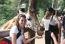 The Giraffe Centre - Nairobi