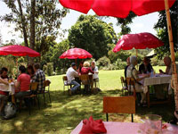 Kiambethu Tea Farm Cottages