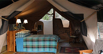 Kitich Camp