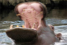Blyde River Canyon, in Kruger National Park, South Africa