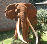 Nairobi national museum