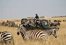 Ol Pejeta and sweetwaters Gamedrive