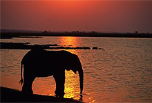 Selous National Park, mighty Rufiji River , Tanzania
