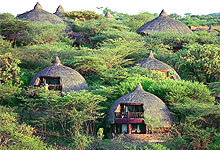 Serengeti Serena Lodge