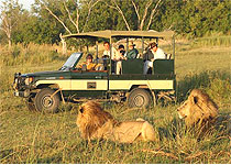 Shompole Gamedrives - Kenya
