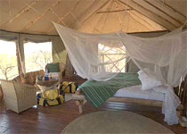 Tarangire Tree Tops Built on Baobab Tree Tanzania