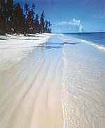 Zanzibar Island