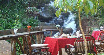 Aberdare Cottages & Campsite