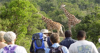 Aberdare country Club walking safari