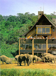 Aberdare National Park