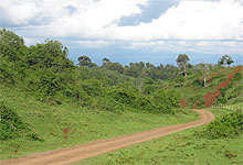 Aberdare National Park