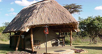 Acacia Camp Masai Mara