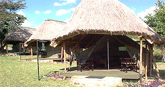 Acacia Camp Masai Mara